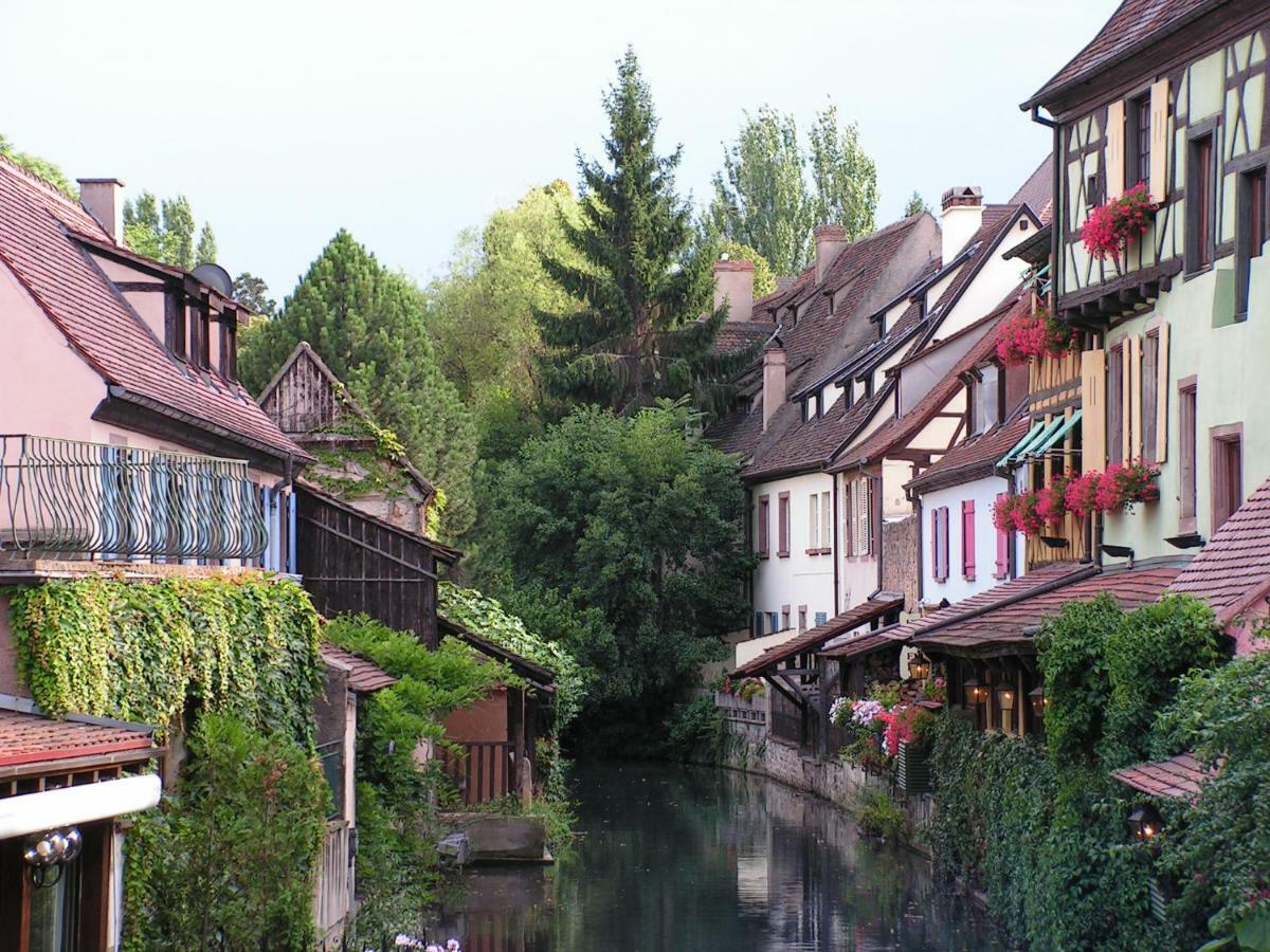 Gite Atelier De Hansi - Colmar Centre Eksteriør billede